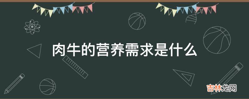 肉牛的营养需求是什么?