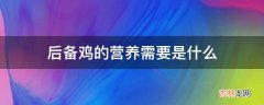 后备鸡的营养需要是什么?