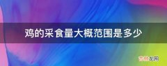 鸡的采食量大概范围是多少?