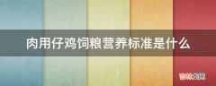 肉用仔鸡饲粮营养标准是什么?