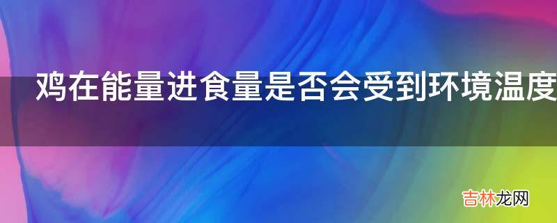 鸡在能量进食量是否会受到环境温度的影响?