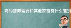 鸡的营养需要和其他家畜有什么差别?