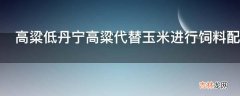 高粱低丹宁高粱代替玉米进行饲料配制需要注意什么?