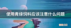 使用青绿饲料应该注意什么问题?