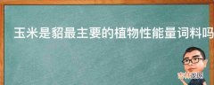 玉米是貂最主要的植物性能量词料吗?