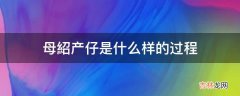 母紹产仔是什么样的过程?