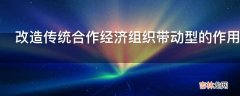 改造传统合作经济组织带动型的作用是什么?