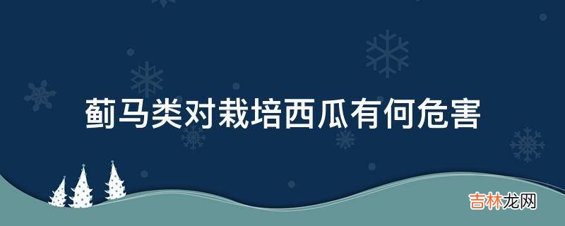 蓟马类对栽培西瓜有何危害?