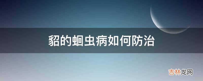 貂的蛔虫病如何防治?