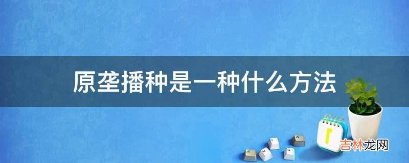 原垄播种是一种什么方法?