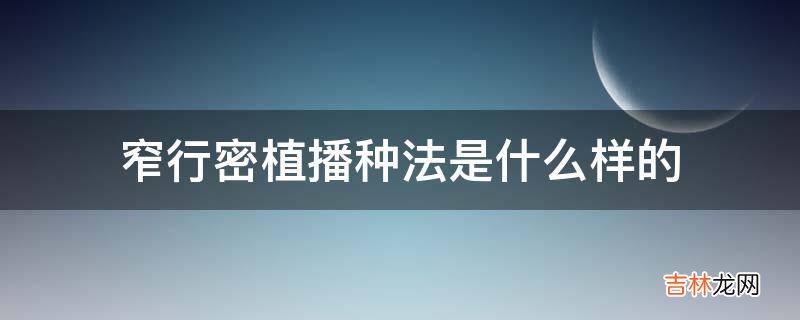 窄行密植播种法是什么样的?