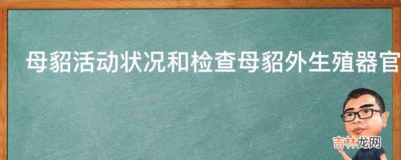 母貂活动状况和检查母貂外生殖器官变化情况是发情鉴定的依据吗?