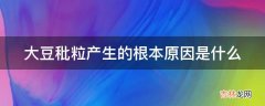 大豆秕粒产生的根本原因是什么?