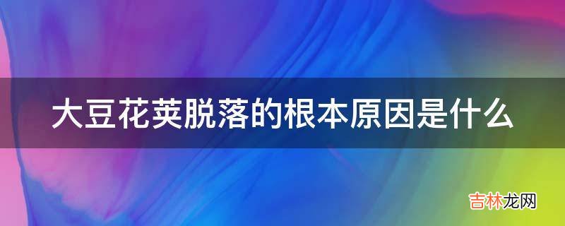 大豆花荚脱落的根本原因是什么?