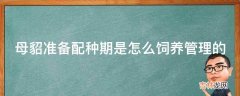 母貂准备配种期是怎么饲养管理的?