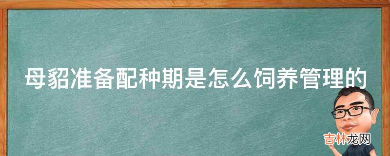 母貂准备配种期是怎么饲养管理的?