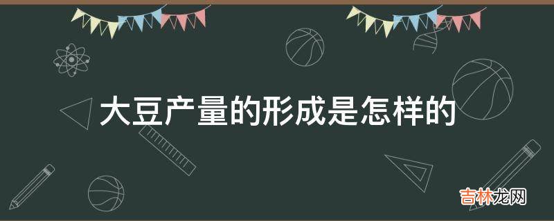 大豆产量的形成是怎样的?