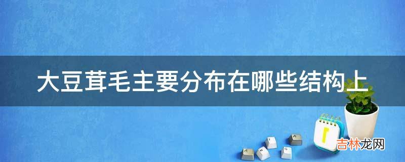 大豆茸毛主要分布在哪些结构上?