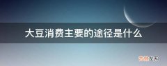 大豆消费主要的途径是什么?