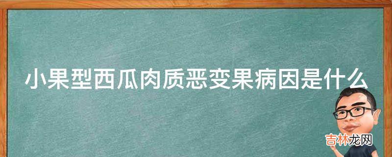 小果型西瓜肉质恶变果病因是什么?