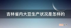 吉林省内大豆生产状况是怎样的?