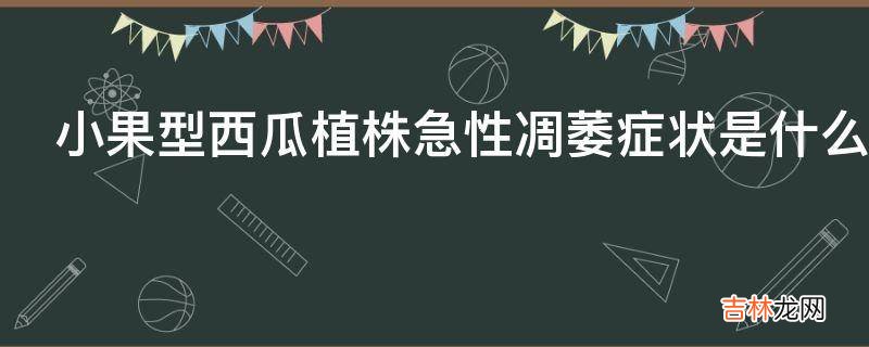 小果型西瓜植株急性凋萎症状是什么?