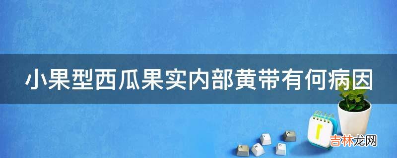 小果型西瓜果实内部黄带有何病因?