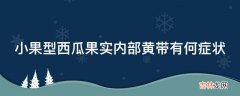 小果型西瓜果实内部黄带有何症状?