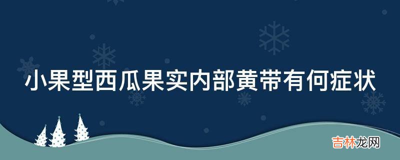 小果型西瓜果实内部黄带有何症状?