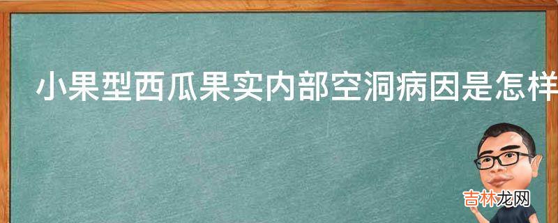 小果型西瓜果实内部空洞病因是怎样的?