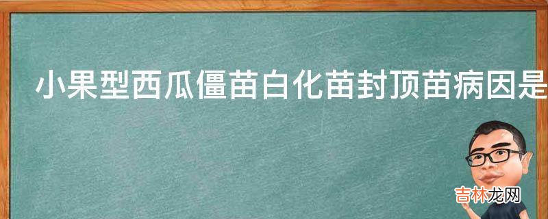 小果型西瓜僵苗白化苗封顶苗病因是什么?