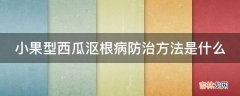 小果型西瓜沤根病防治方法是什么?