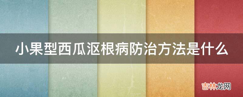 小果型西瓜沤根病防治方法是什么?