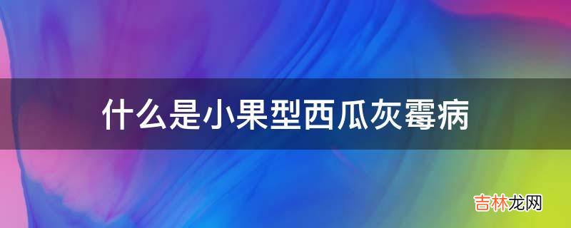 什么是小果型西瓜灰霉病?