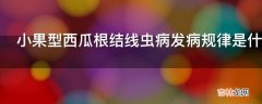 小果型西瓜根结线虫病发病规律是什么?