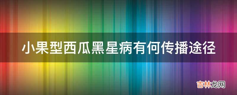 小果型西瓜黑星病有何传播途径?