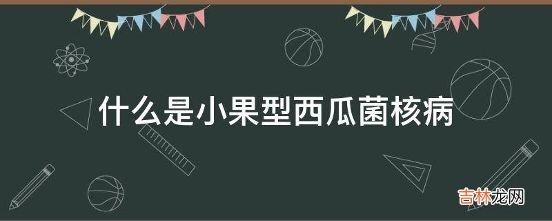 什么是小果型西瓜菌核病?