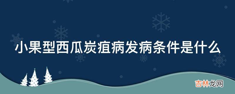 小果型西瓜炭疽病发病条件是什么?