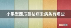 小果型西瓜蔓枯病发病条有哪些?