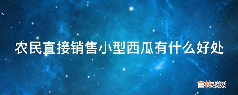 农民直接销售小型西瓜有什么好处?