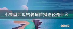 小果型西瓜枯萎病传播途径是什么?