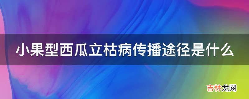 小果型西瓜立枯病传播途径是什么?