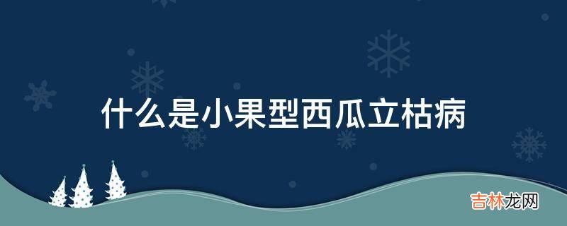 什么是小果型西瓜立枯病?