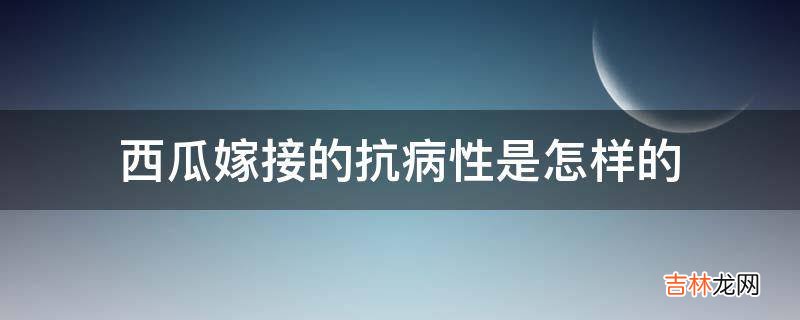 西瓜嫁接的抗病性是怎样的?