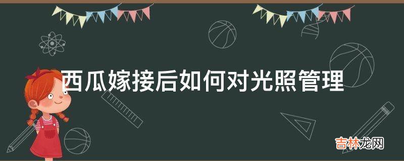 西瓜嫁接后如何对光照管理?