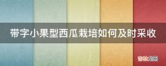 带字小果型西瓜栽培如何及时采收?