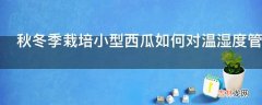 秋冬季栽培小型西瓜如何对温湿度管理?