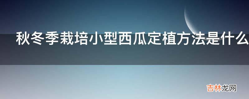 秋冬季栽培小型西瓜定植方法是什么?