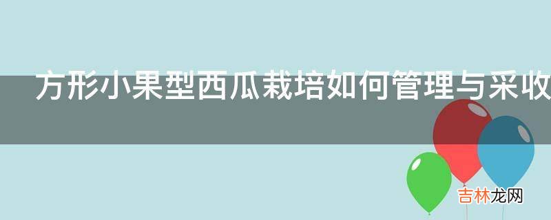 方形小果型西瓜栽培如何管理与采收?