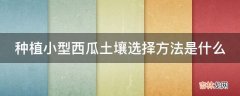 种植小型西瓜土壤选择方法是什么?